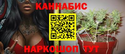 мяу мяу мука Будённовск