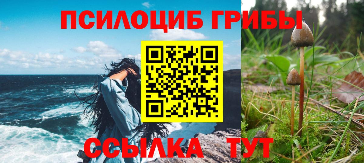 Галлюциногенные грибы GOLDEN TEACHER  где купить наркоту  Майский  Вход с VPN 